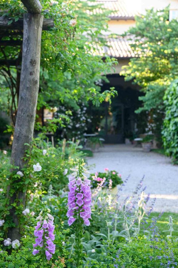 Villino Di Porporano Bed & Breakfast ปาร์มา ภายนอก รูปภาพ
