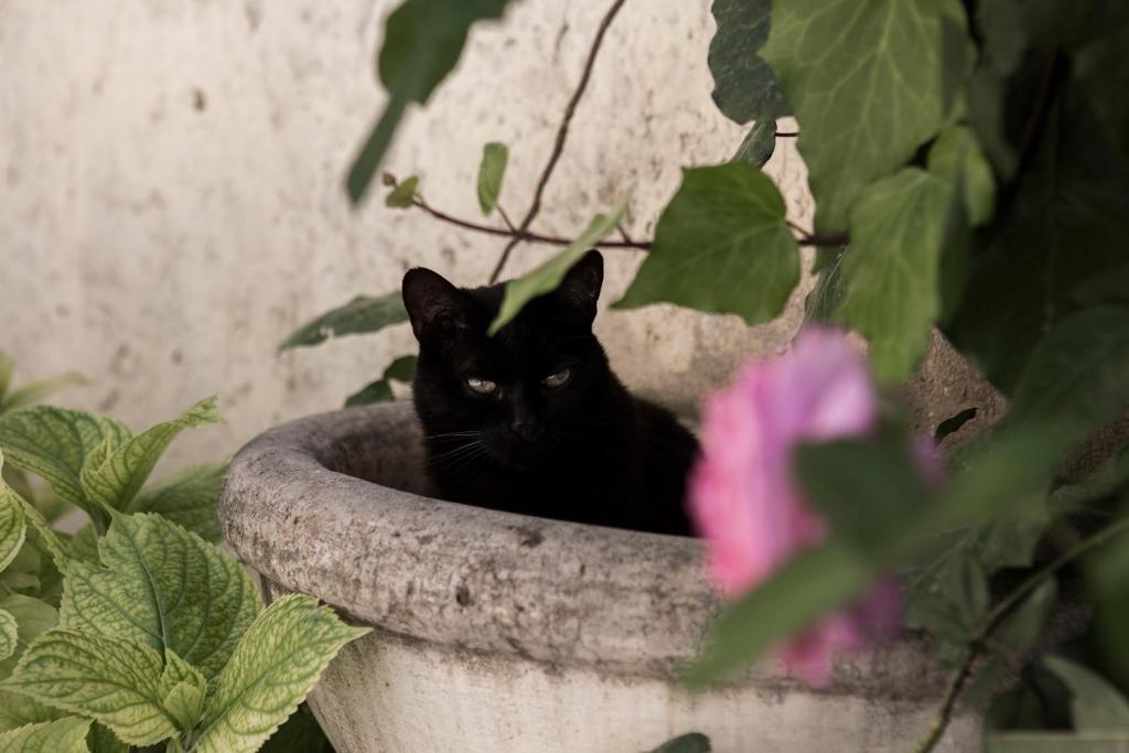 Villino Di Porporano Bed & Breakfast ปาร์มา ภายนอก รูปภาพ