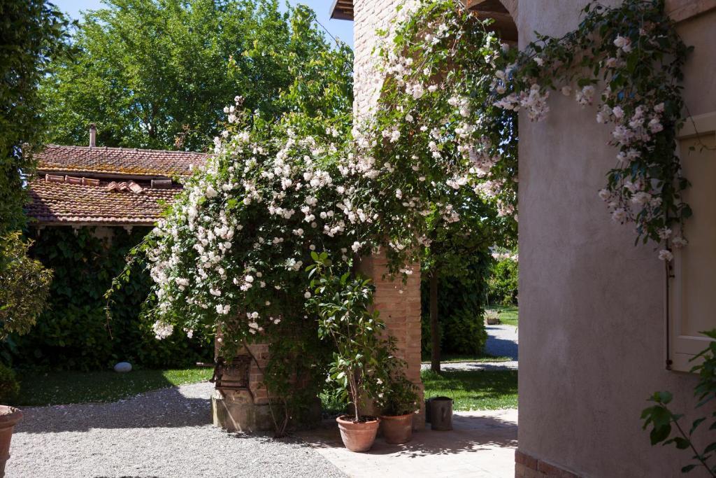 Villino Di Porporano Bed & Breakfast ปาร์มา ภายนอก รูปภาพ
