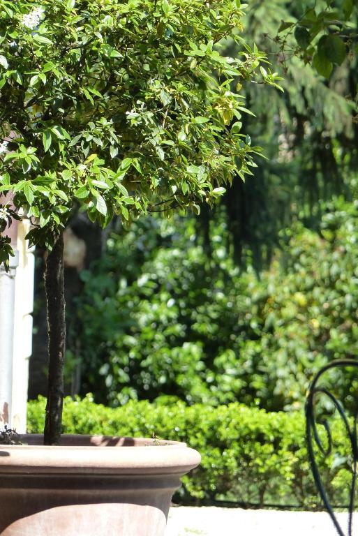 Villino Di Porporano Bed & Breakfast ปาร์มา ภายนอก รูปภาพ