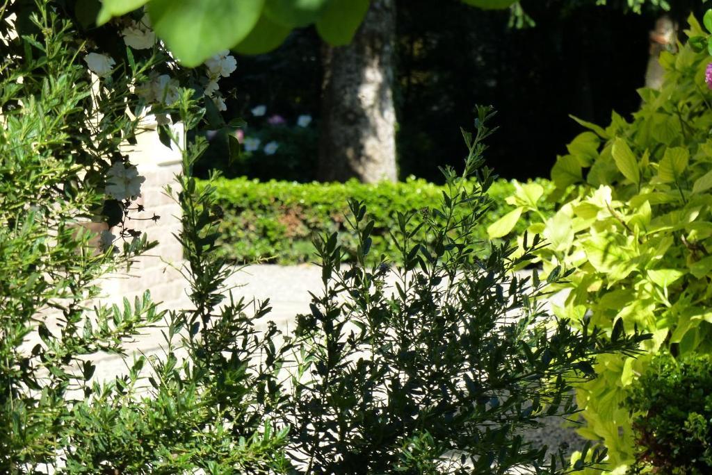Villino Di Porporano Bed & Breakfast ปาร์มา ภายนอก รูปภาพ